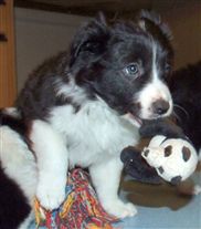 Click for large image