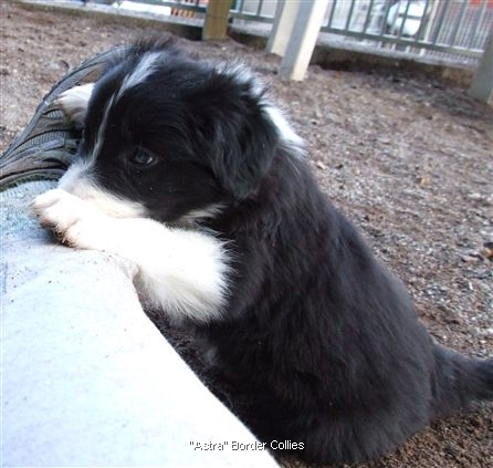 Click for large image