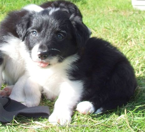 Click for large image